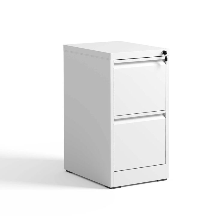 Locking Metal 2-Drawer Lateral File Cabinet for Letter and  Documents