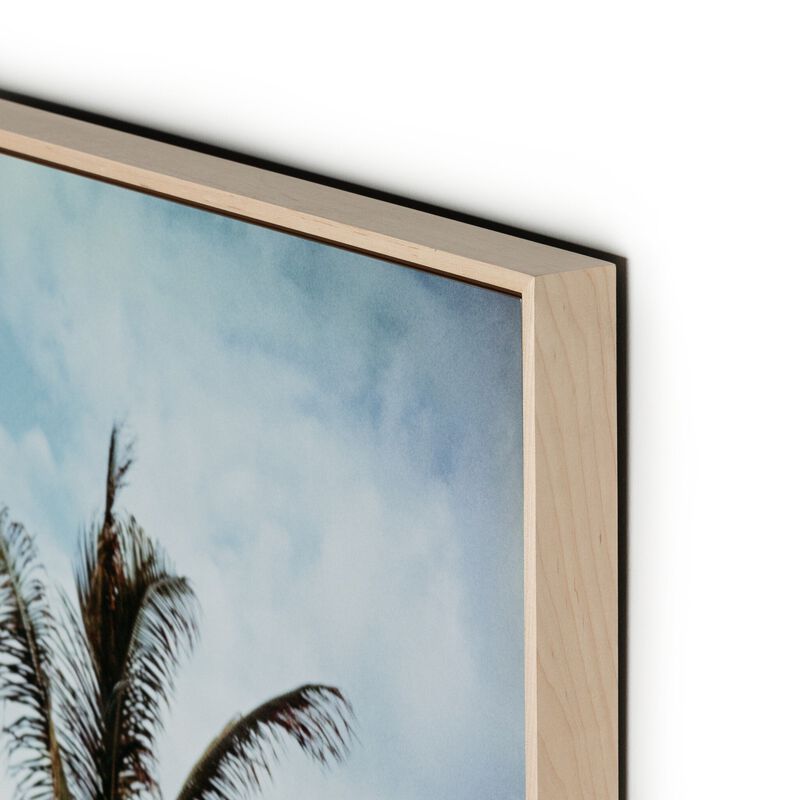 Palm Beach Idyll