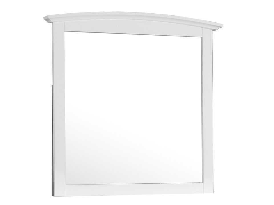 37 in. x 35 in. Classic Rectangle Framed Dresser Mirror