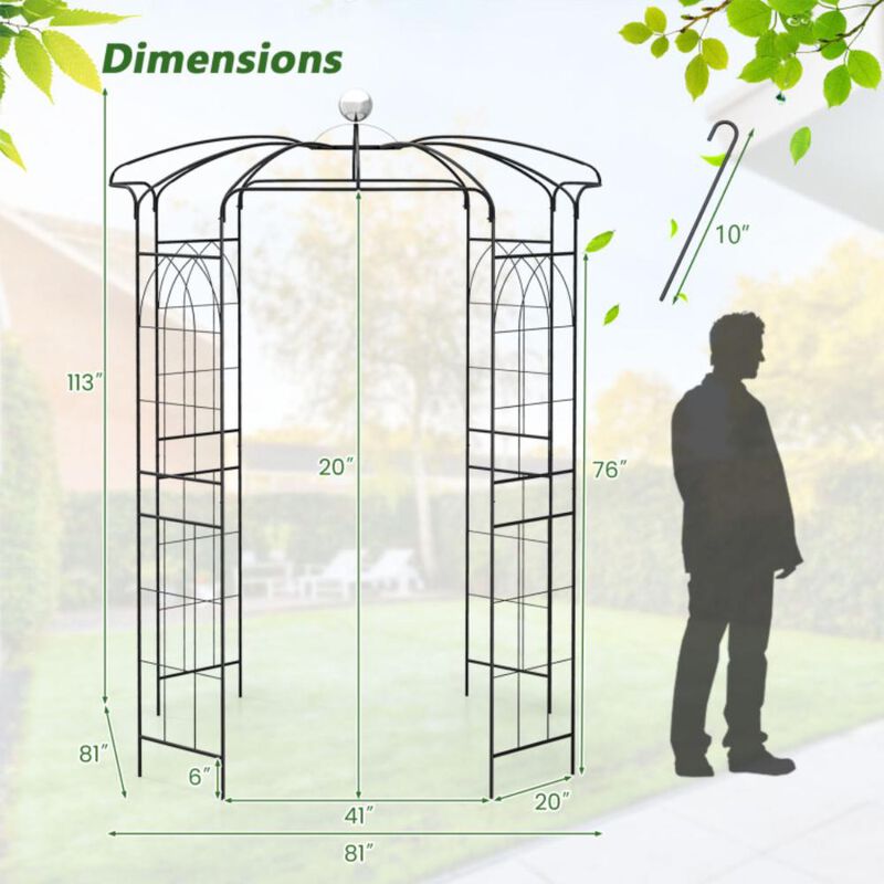 Hivvago Birdcage Shape Gazebo for Climbing Plants and Wedding Ceremony Decoration