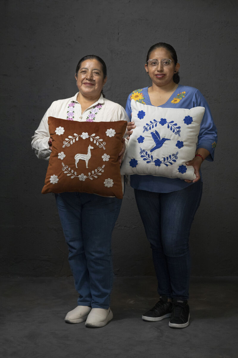 LLAMA Hand Embroidered Decorative Pillows in Ivory Upholstery by ANDEAN, Set of 2, In Stock