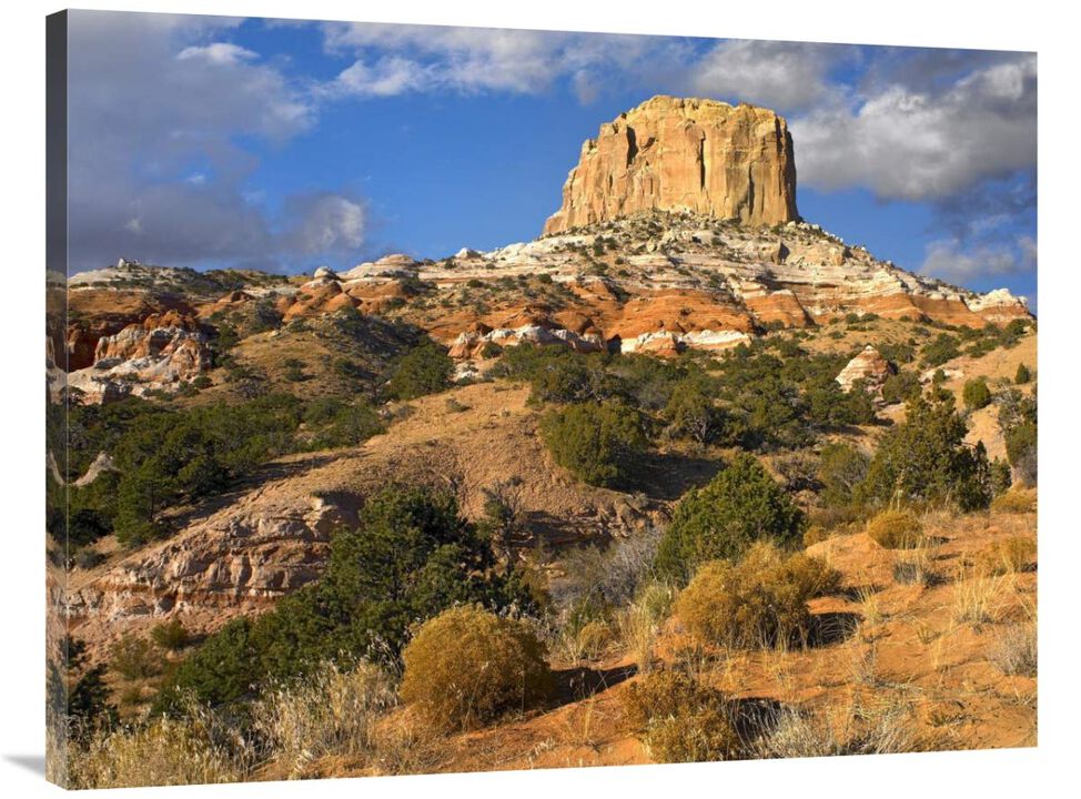 Square Butte near Kaibito, Arizona-Canvas Art-40x30