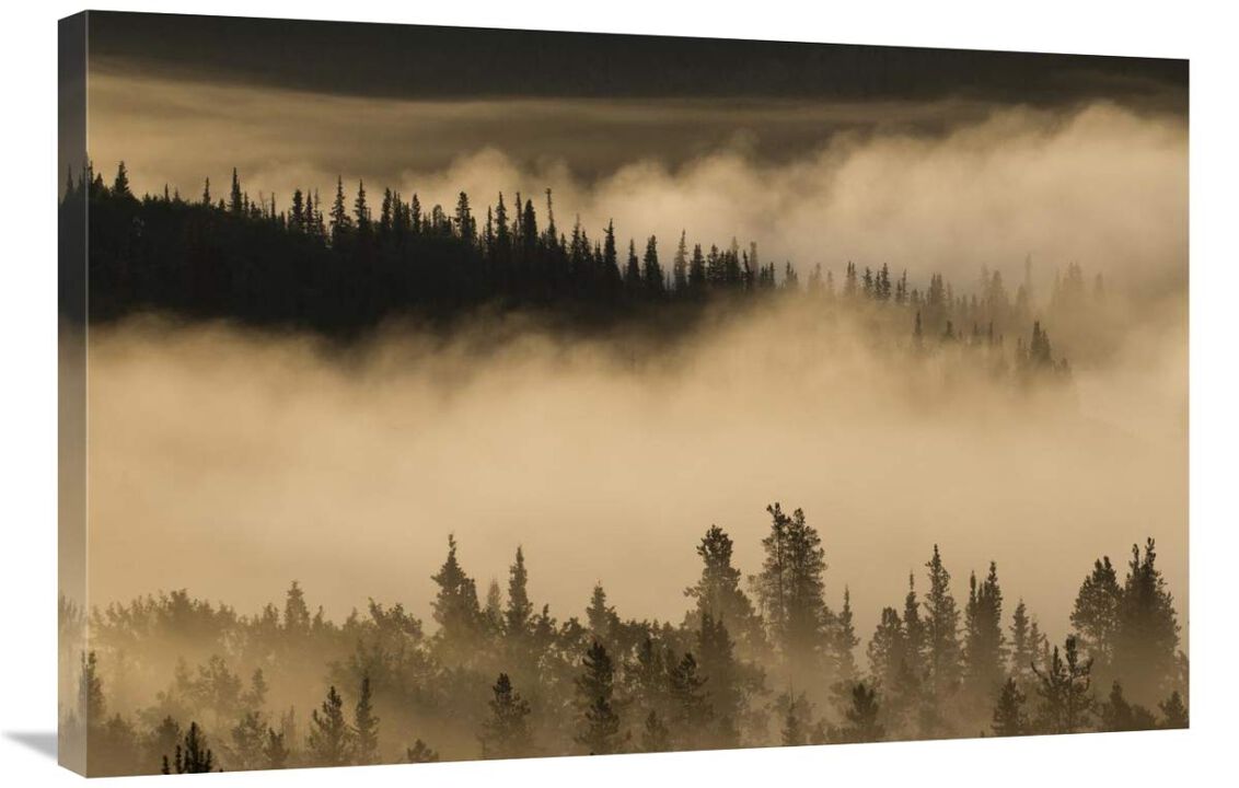 Morning fog near Swan Lake along the Alaska Highway, Yukon, Canada-Canvas Art-36x24