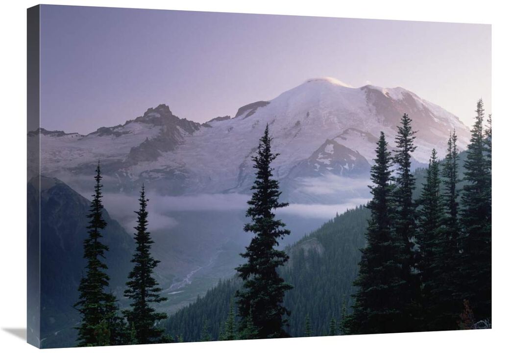 Mt Rainier as seen at sunrise, Mt Rainier National Park, Washington-Canvas Art-32x24