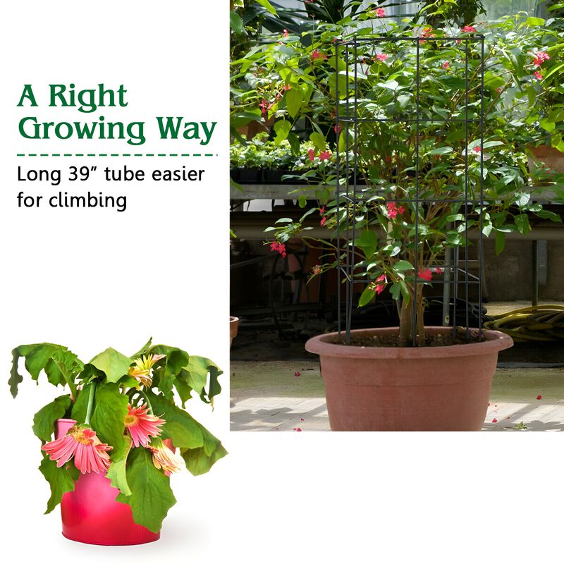 4 Pack Garden Trellis for Climbing Plants for Flower Vegetable