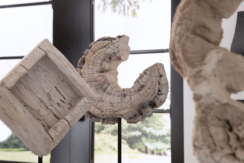 Wood C Sculpture on Stand