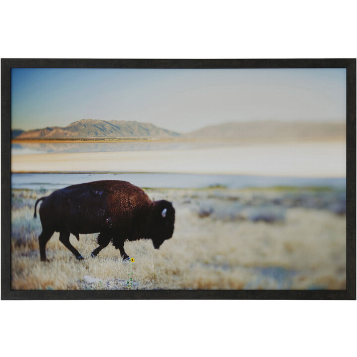Framed Print Under Glass