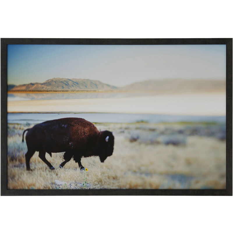 Framed Print Under Glass