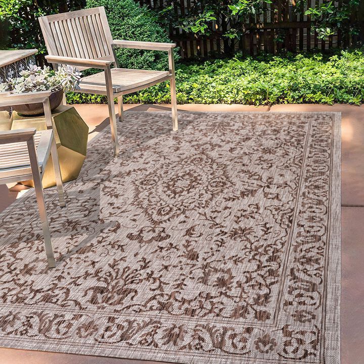 Jerash Ornate Medallion Indoor/Outdoor Area Rug