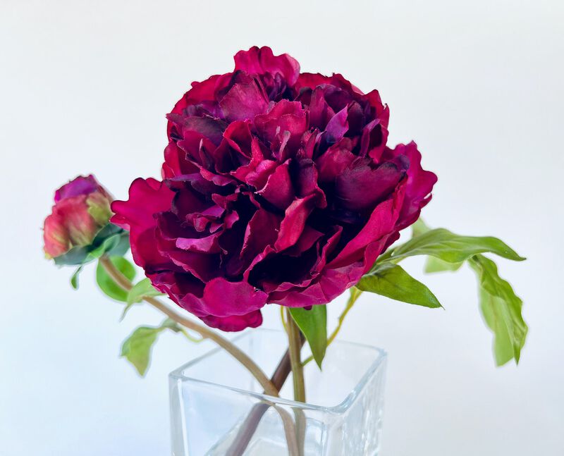 Peony Flower Arrangement in Glass Vase