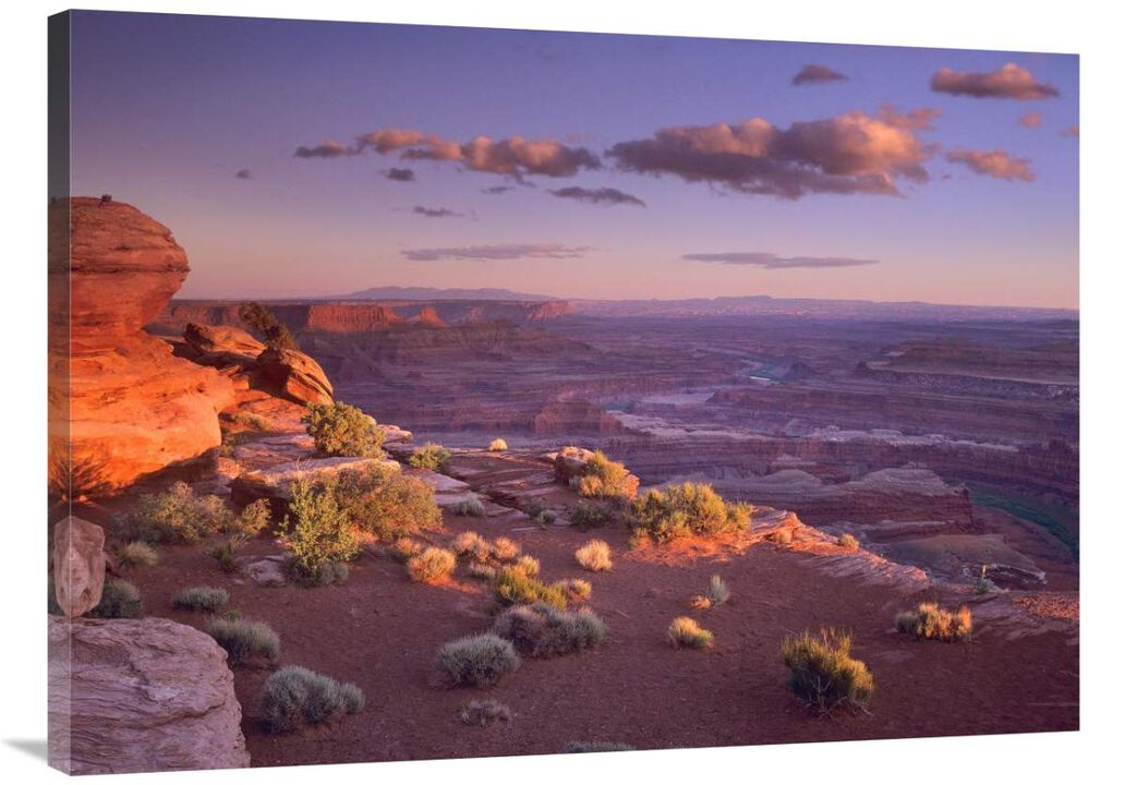 Green River Overlook, Canyonlands National Park, Utah-Canvas Art-40x30