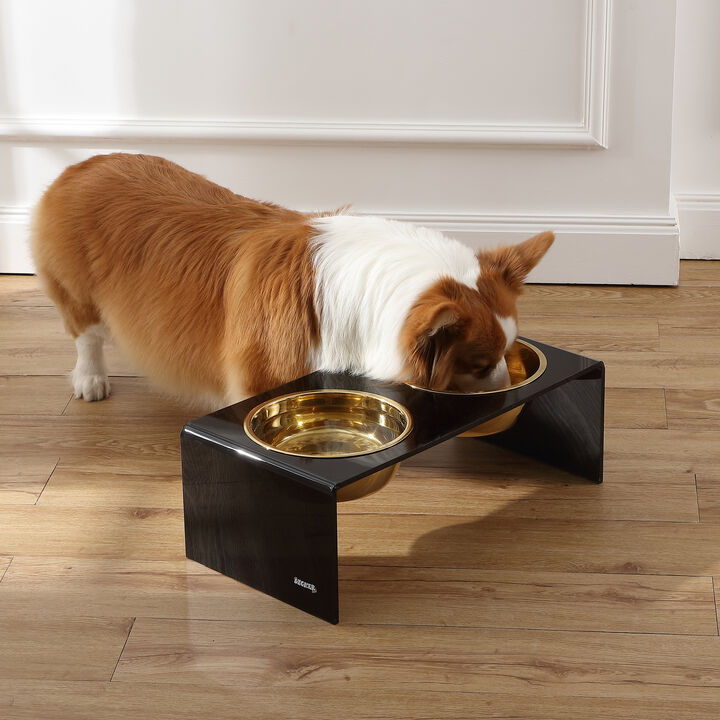 Keaton Medium/Large Modern Lucite Rectangular Elevated Pet Feeder with 2-Stainless Steel Bowls