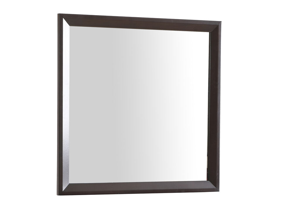 36 in. x 36 in. Classic Square Framed Dresser Mirror