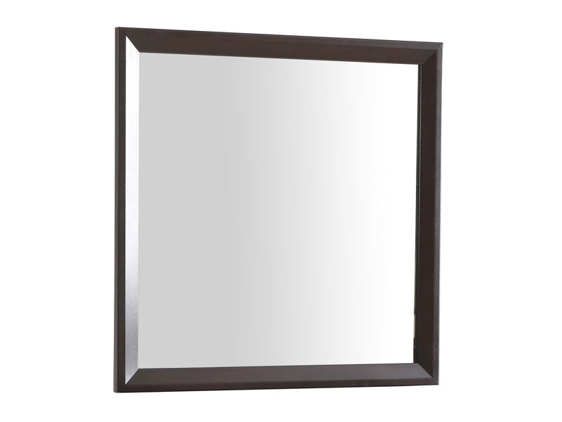 36 in. x 36 in. Classic Square Framed Dresser Mirror