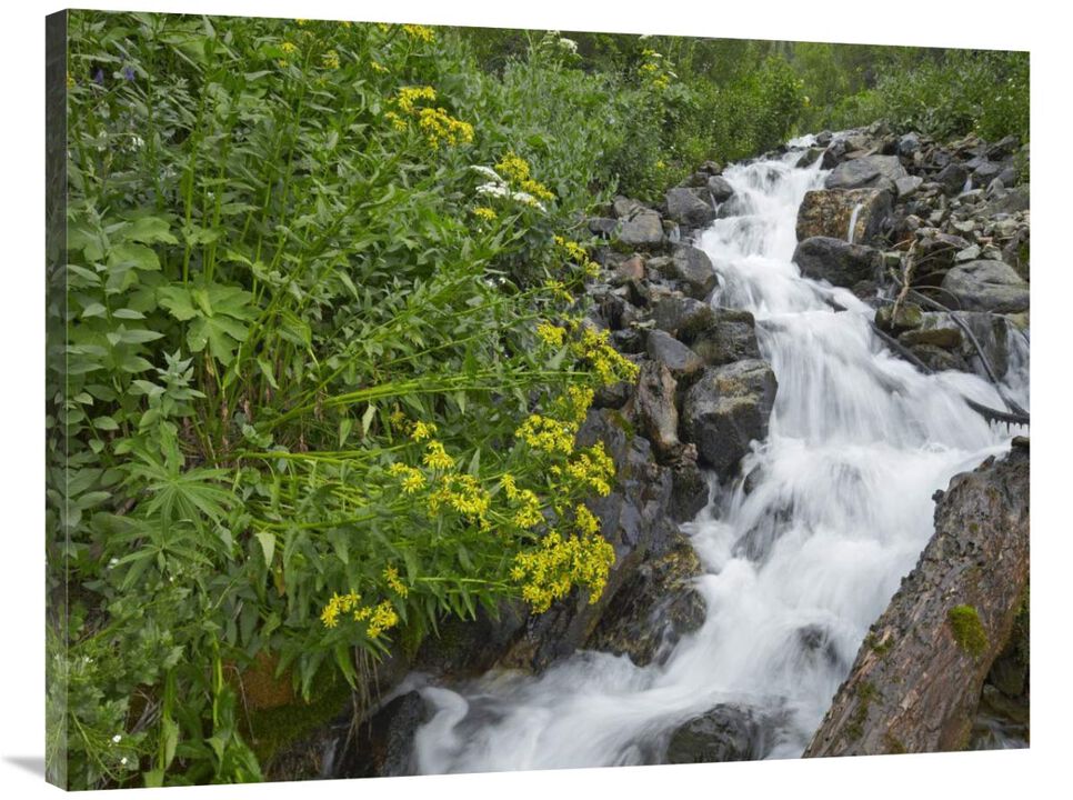Creek near Silverton, Colorado-Canvas Art-40x30