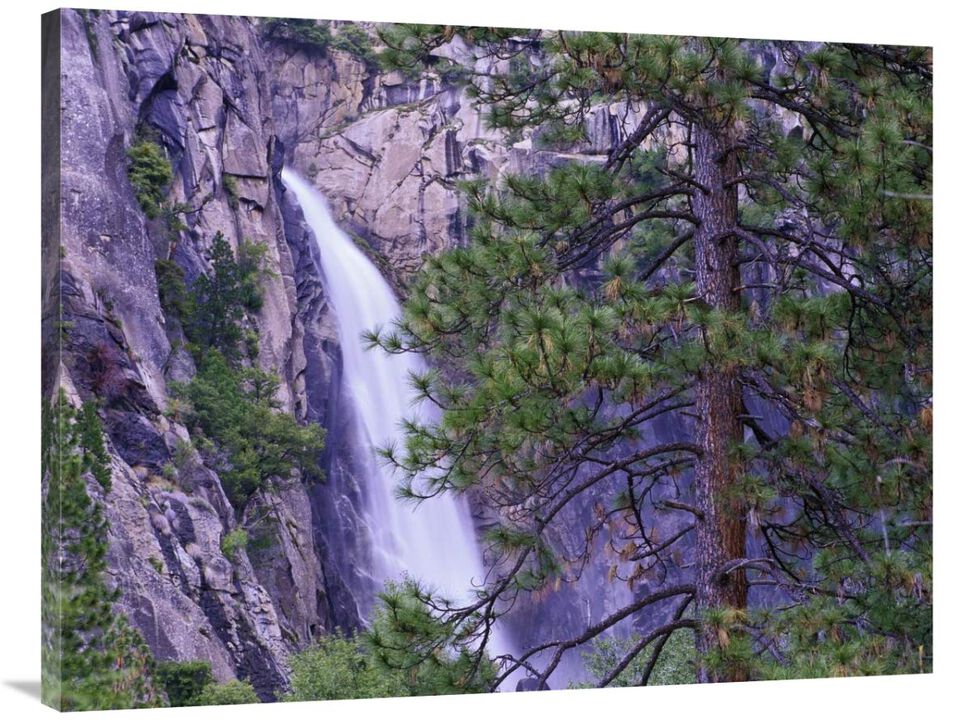 The Cascades from Yosemite National Park, California-Canvas Art-40x30