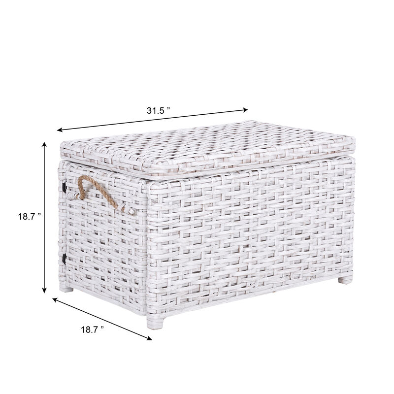 Jacob Wicker Storage Trunk