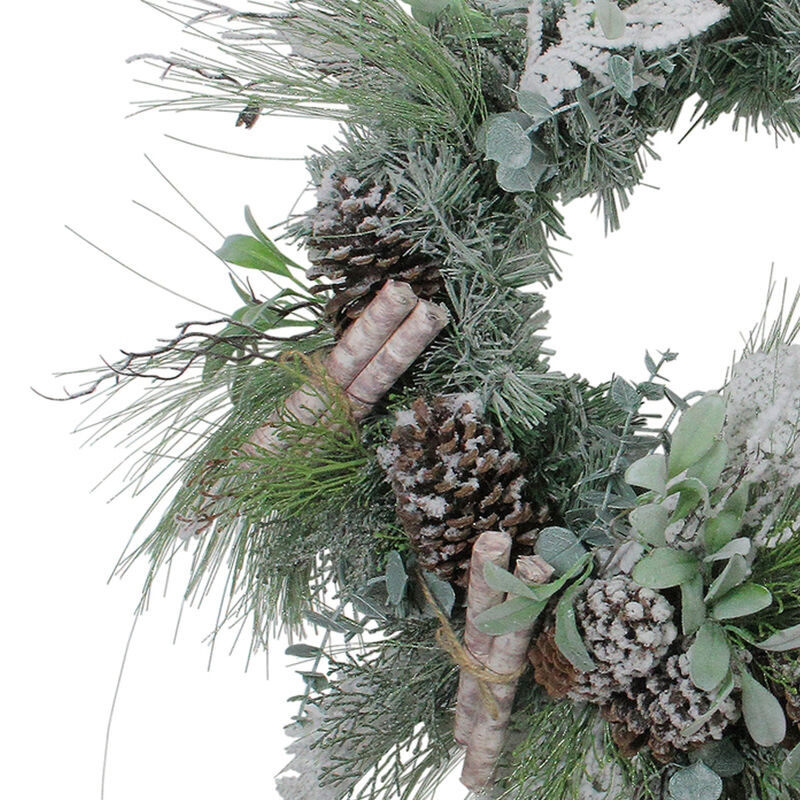 24� Artificial Frosted Pine  Birch Scrolls and Pine Cone Christmas Wreath - Unlit