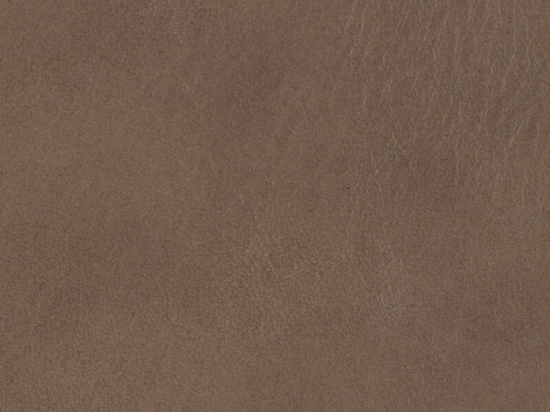 Caleigh Recliner in Beige