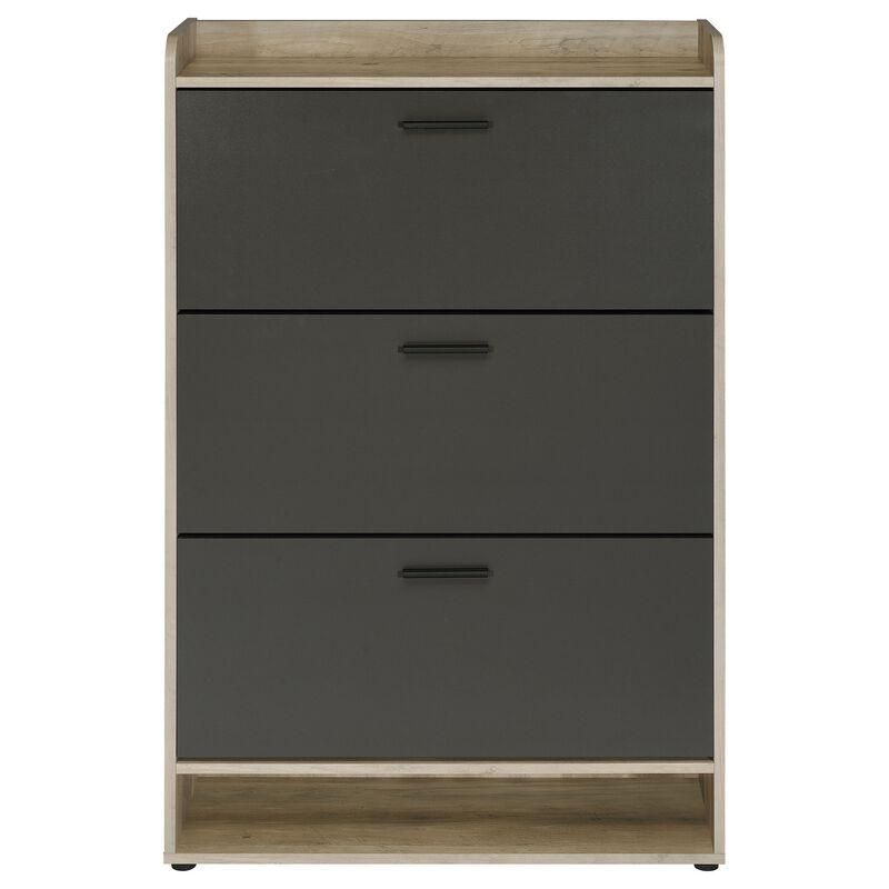 Danny Shoe Storage Cabinet, 3 Tiered, Bottom Shelf, Antiqued Gray Pine - Benzara