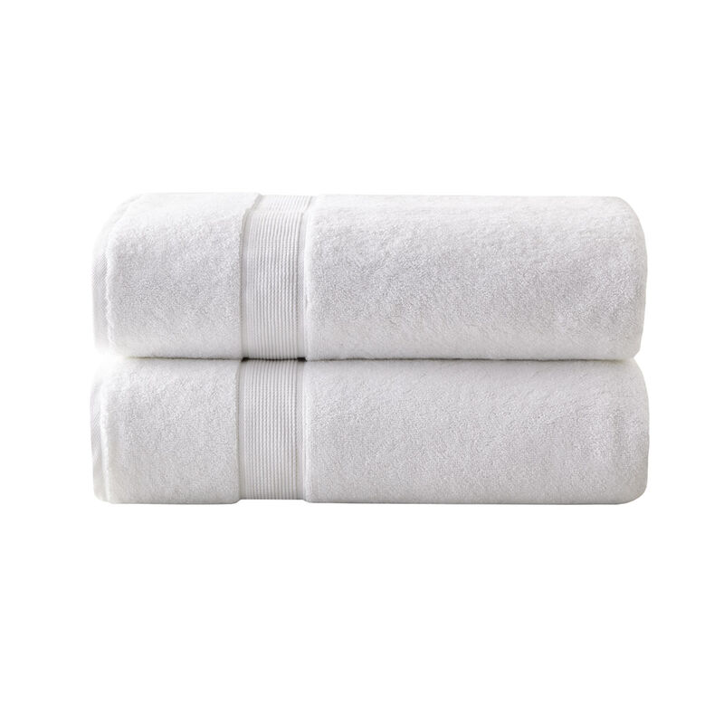 Gracie Mills Eulalia 2 Piece 800 GSM Antimicrobial Cotton Bath Sheet Set