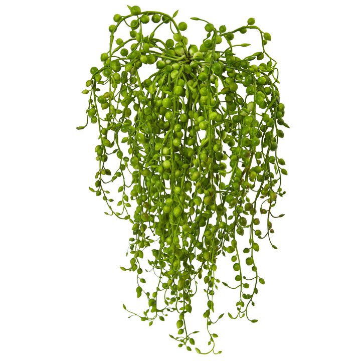 Hivvago Senecio Artificial Succulent (Set of 3)