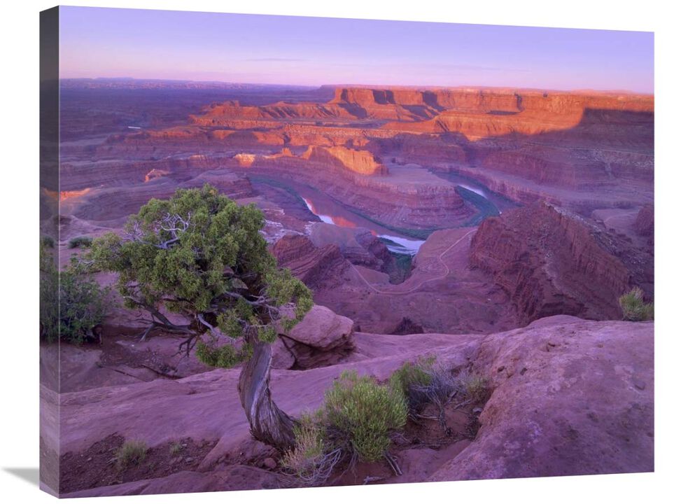 Colorado River flowing through canyons of Dead Horse Point State Park, Utah-Canvas Art-28x22
