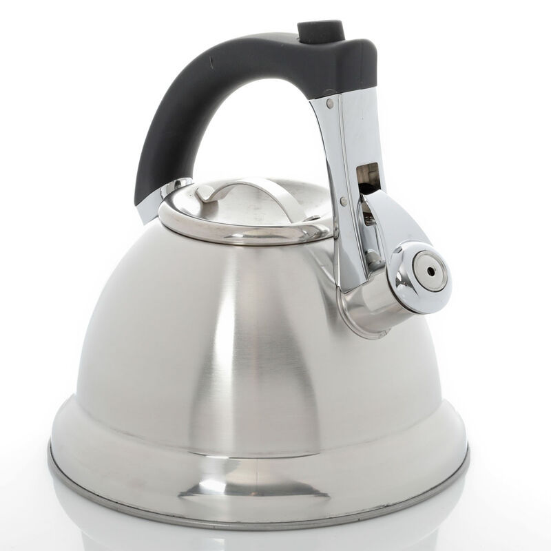 Mr Coffee Collinsbrook 2.4 Quart Stainless Steel Whistling Tea Kettle