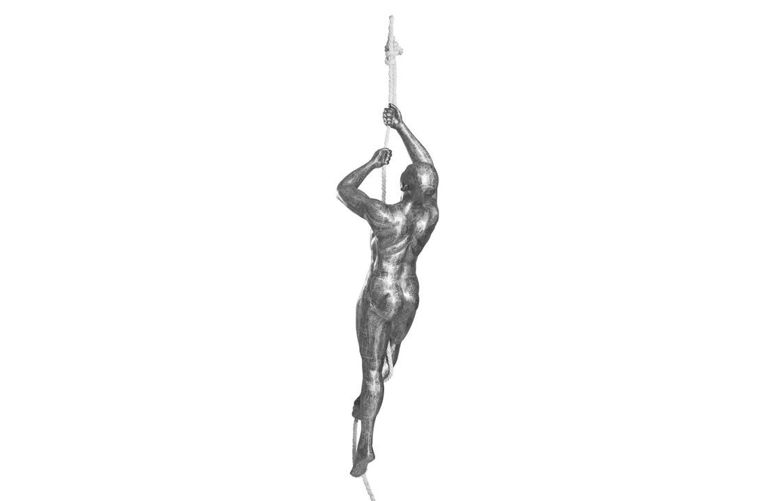 Climbing Sculpture w/Rope