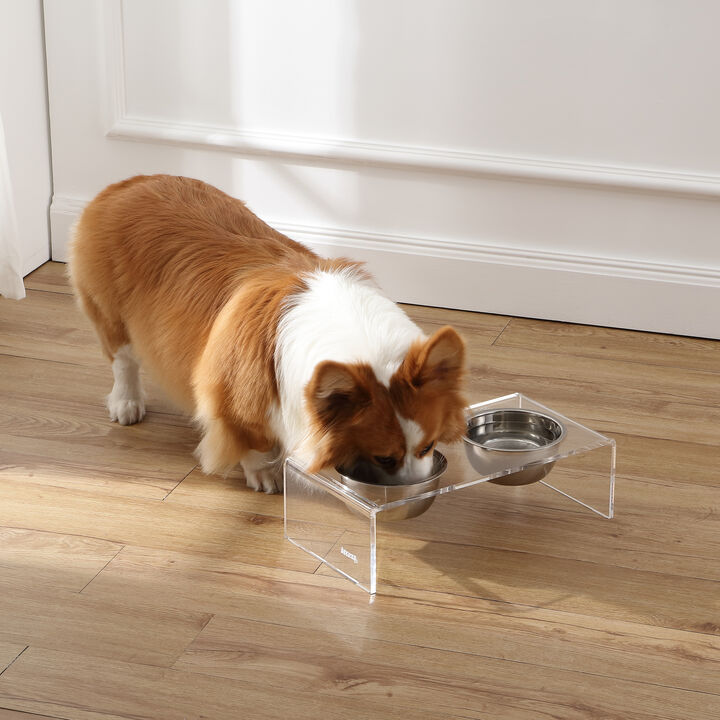 Keaton Medium/Large Modern Lucite Rectangular Elevated Pet Feeder with 2-Stainless Steel Bowls