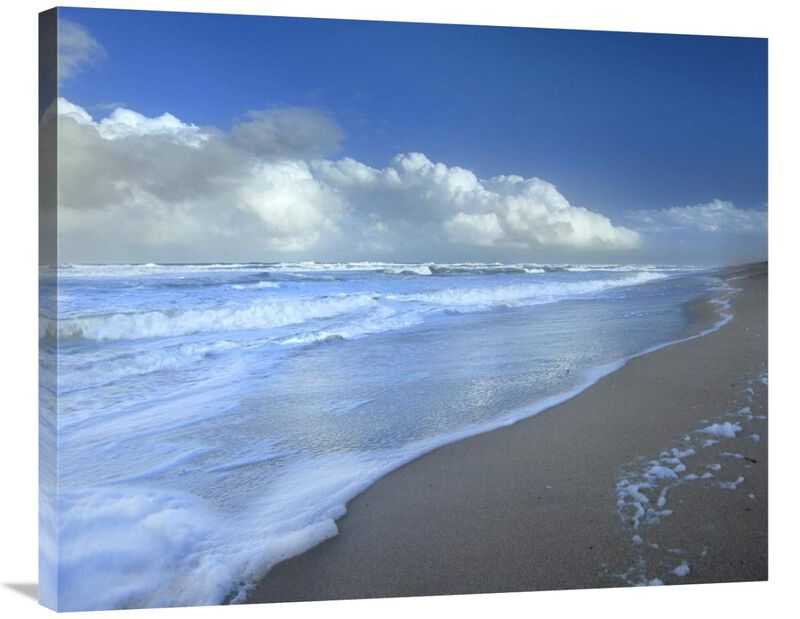 Storm cloud over beach, Canaveral National Seashore, Florida-Canvas Art-35x28