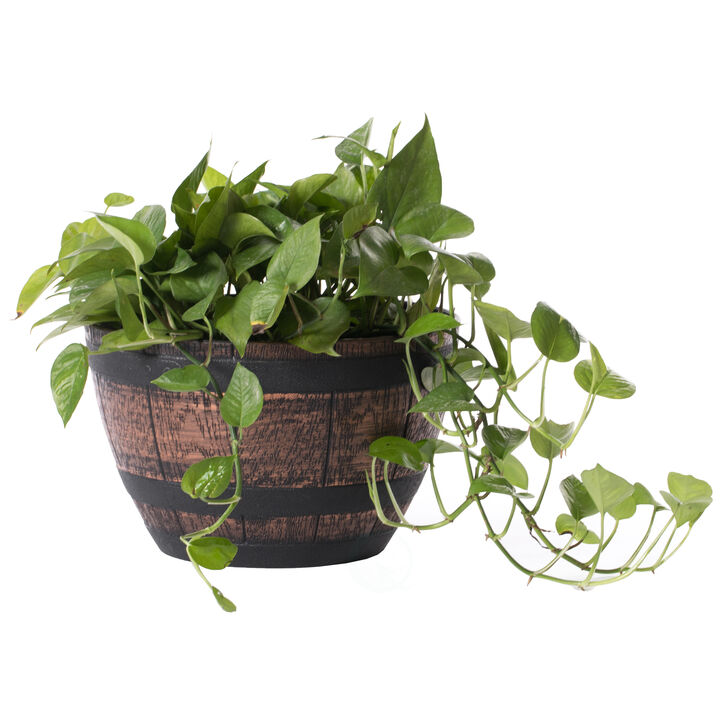 Brown Outdoor Rustic Half Barrel Flower Garden Planter Bowl, Plastic, Small