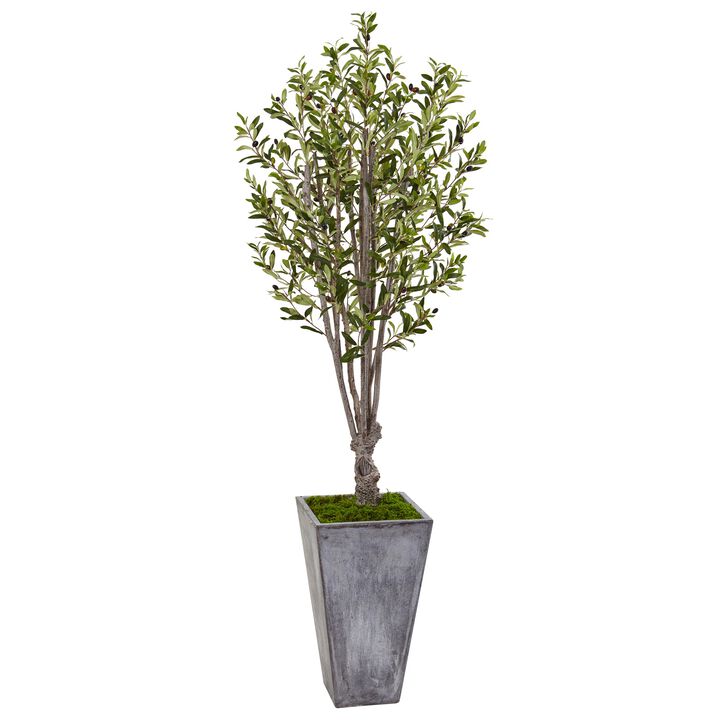 Hivvago 6 Feet Olive Tree in Stone Planter