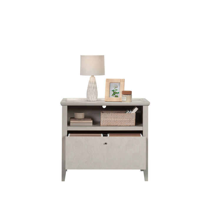 Larkin Ledge Lateral File