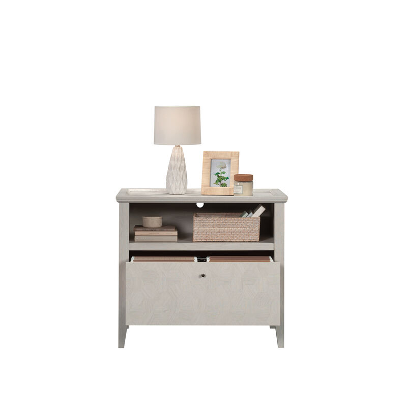 Larkin Ledge Lateral File