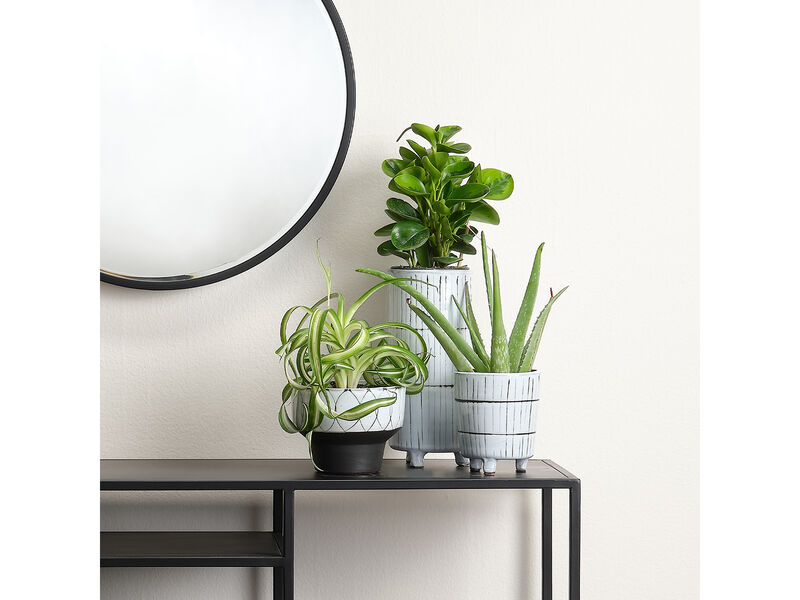 Striae Vessels Set of 3