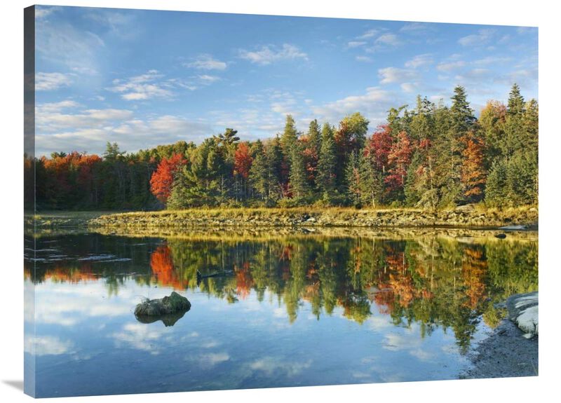 Coastline, Mount Desert Island, Maine-Canvas Art-40x30