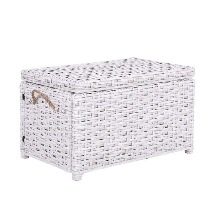 Jacob Wicker Storage Trunk