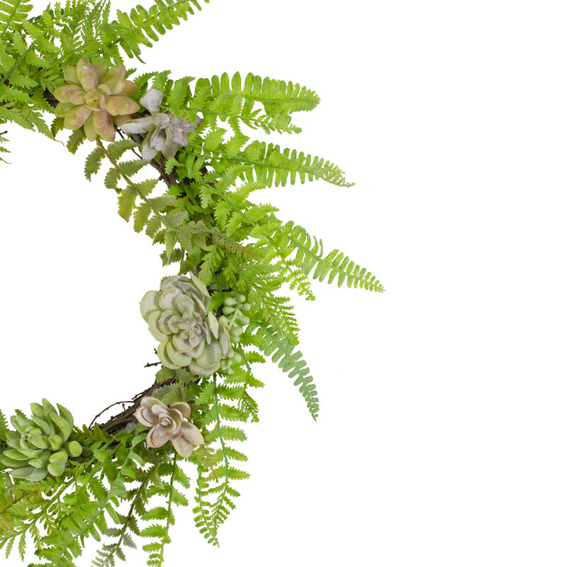 Succulents and Foliage Artificial Spring Twig Wreath  Green - 22-Inch