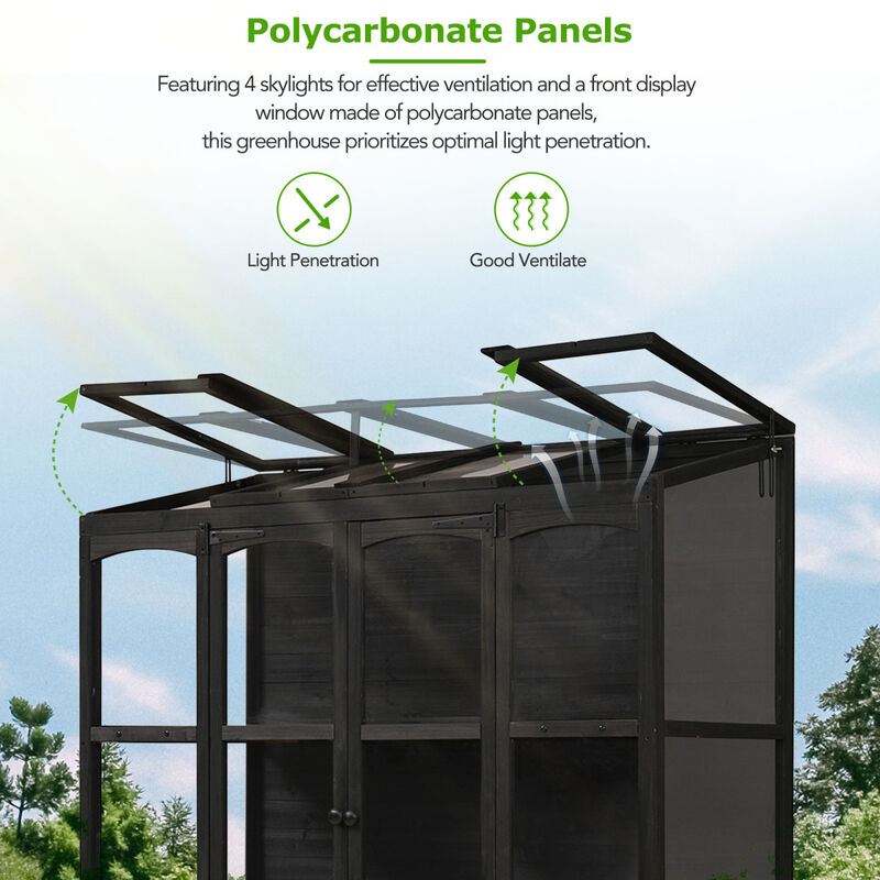 78" Wooden Cold Frame with Skylights, Shelves & Outdoor Walk-inhouse