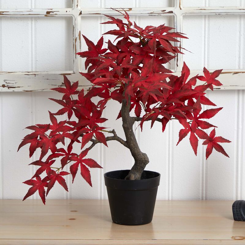 Hivvago 20 Inches Autumn Maple Bonsai