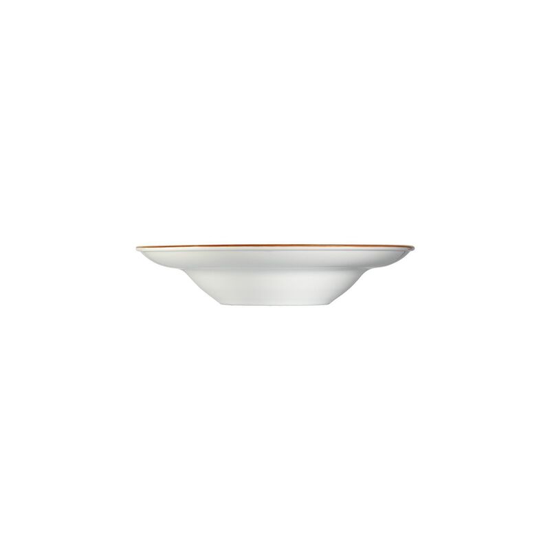 Space dia.10.75" h:2.25" 16 oz. Round Grey Porcelain Bowl (Set of 2)