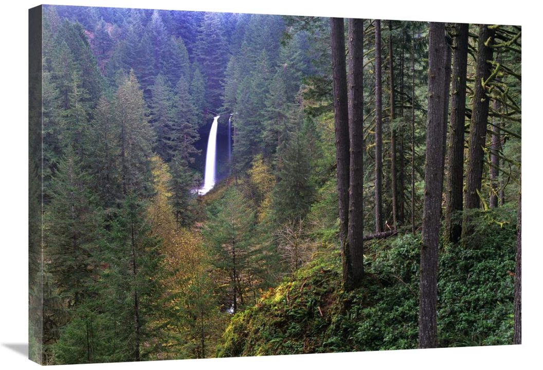 North Falls, Silver Falls State Park near Salem, Oregon-Canvas Art-32x24