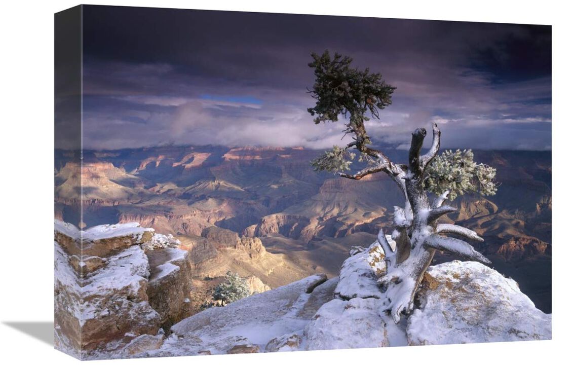 South Rim of Grand Canyon with a dusting of snow seen from Yaki Point, Grand Canyon National Park, Arizona-Canvas Art-16x12