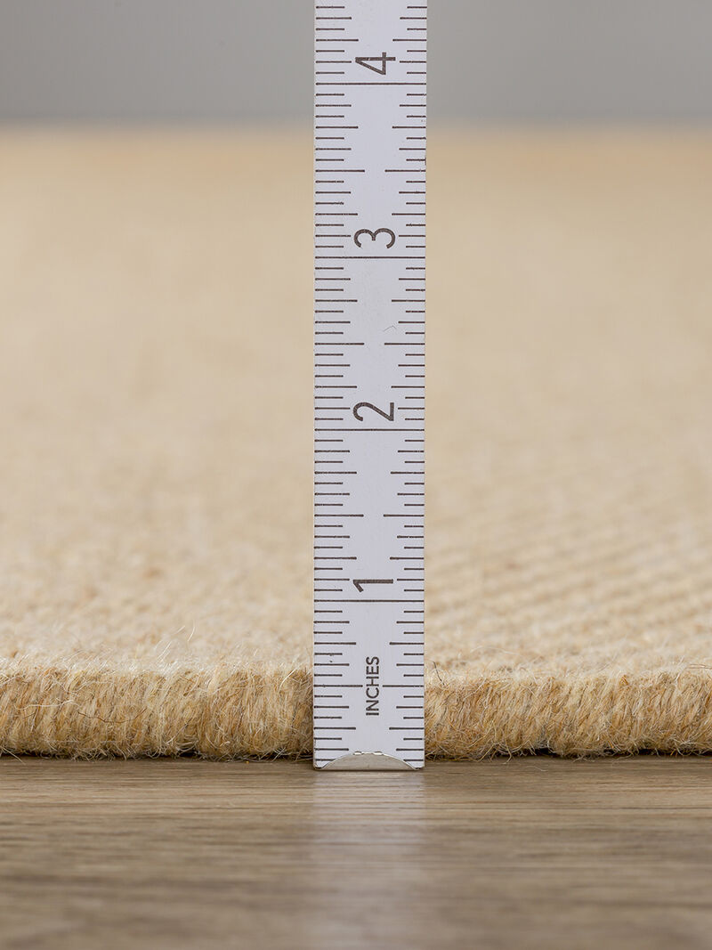 Monaco Sisal MC200 Ecru 3'6" x 5'6" Rug