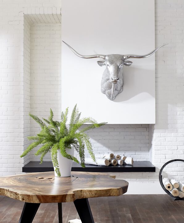 Longhorn Bull Wall Art