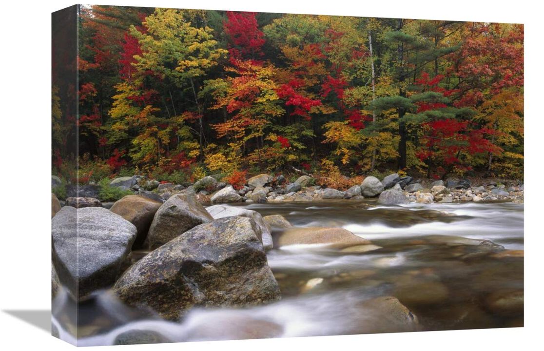 Wild river in eastern hardwood forest, White Mountains National Forest, Maine-Canvas Art-16x12