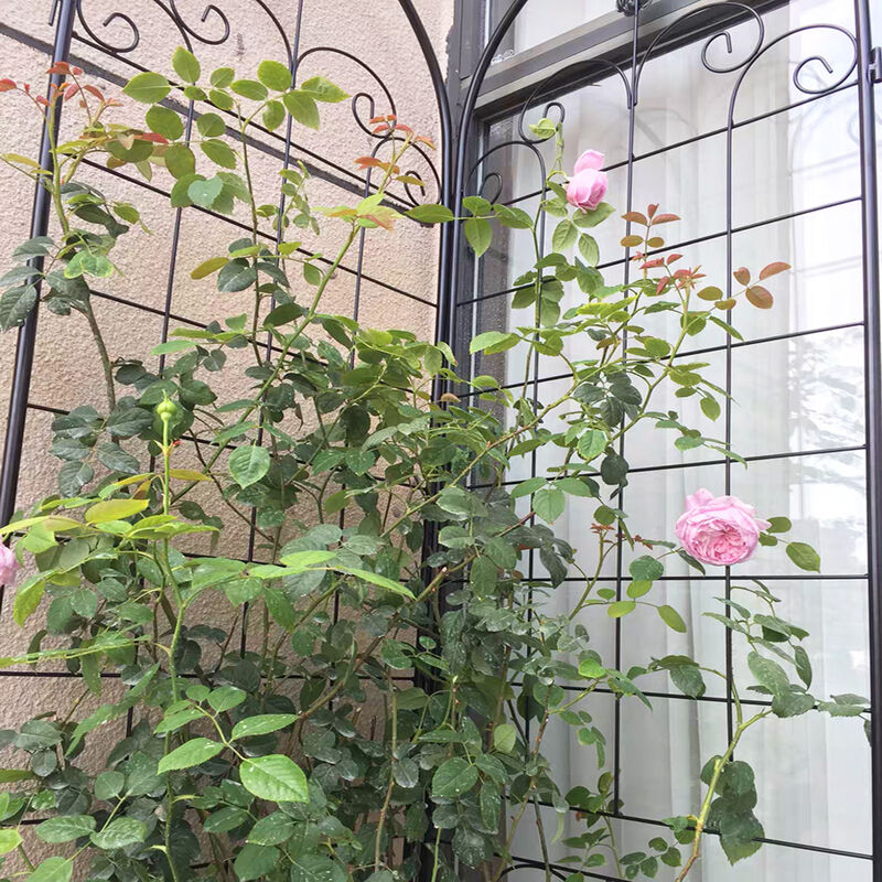 Streamdale Rustproof Rose Trellis for Climbing Plants 86.7"x19.7"