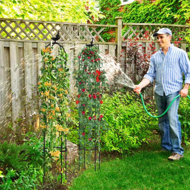 Hivvago 2-Pack Garden Obelisk Trellis for Climbing Plants