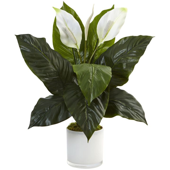 Nearly Natural 26-in Spathifyllum in Glossy Glass Planter